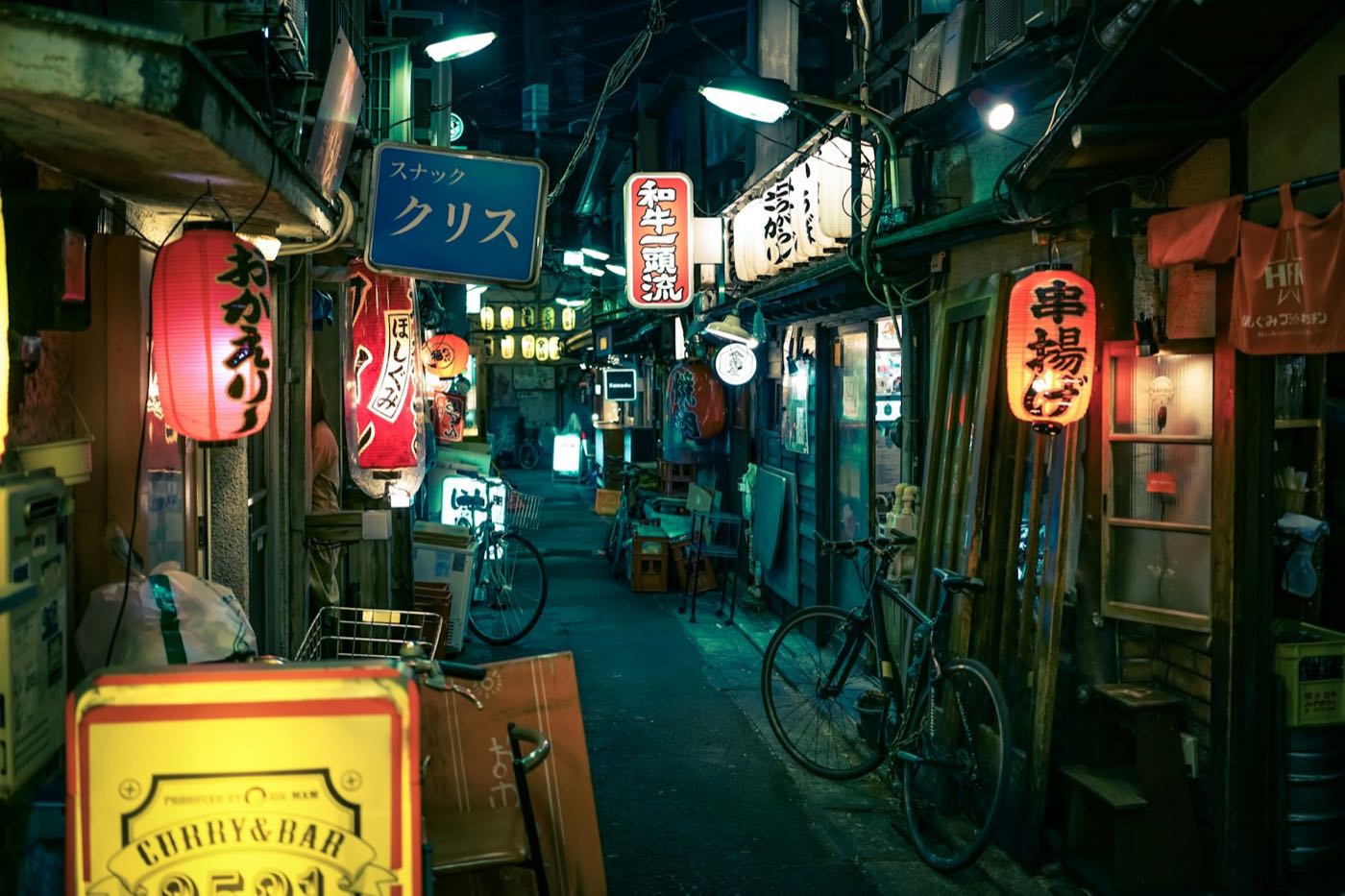Day 3, Omoide Yokocho
